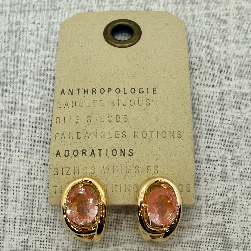 NWT Anthropologie Curve Stone Huggie Hoop Earrings in Pink